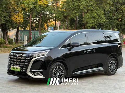 2024 Denza D9 DM-i 1050 Premium - car from China