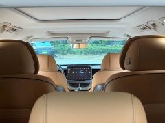 Denza D9 DM-i 1050 Premium - ფოტო 12