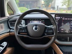 Denza D9 DM-i 1050 Premium - ფოტო 17