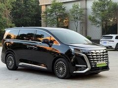Denza D9 DM-i 1050 Premium - ფოტო 2