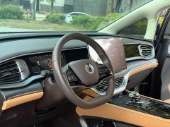 Denza D9 DM-i 1050 Premium - ფოტო 5