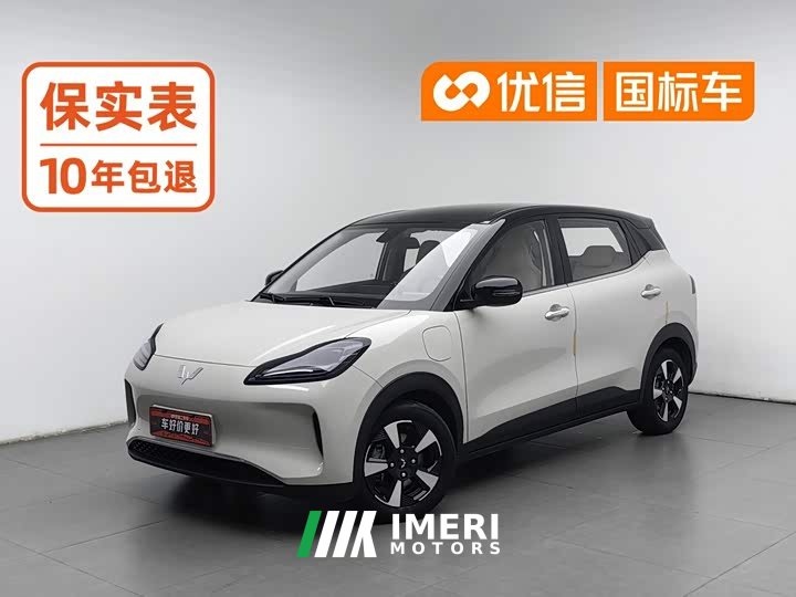 Wuling Binguo PLUS 330km 5-Seater