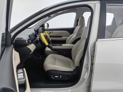 Wuling Binguo PLUS 330km 5-Seater - ფოტო 10