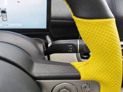Wuling Binguo PLUS 330km 5-Seater - ფოტო 13