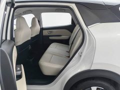 Wuling Binguo PLUS 330km 5-Seater - ფოტო 15