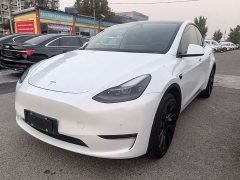 Tesla Model Y Long Range All-Wheel Drive - ფოტო 1
