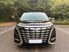 Denza D9 DM-i 1050 Premium - ფოტო 1