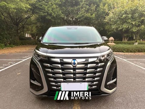 2024 Denza D9 DM-i 1050 Premium - car from China