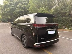 Denza D9 DM-i 1050 Premium - ფოტო 8