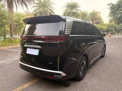 Denza D9 DM-i 1050 Premium - ფოტო 9