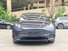 Tesla Model Y Rear-Wheel Drive - ფოტო 2