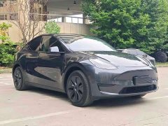 Tesla Model Y Rear-Wheel Drive - ფოტო 3