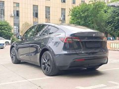 Tesla Model Y Rear-Wheel Drive - ფოტო 8