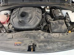 Geely Xingrui Facelift 2.0T Diesel Premium - ფოტო 10