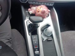 Geely Xingrui Facelift 2.0T Diesel Premium - ფოტო 16