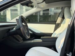 Tesla Model 3 Rear-Wheel Drive - ფოტო 8