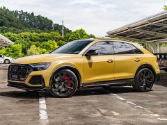 Audi RS Q8 RS Q8 4.0T - фото 1