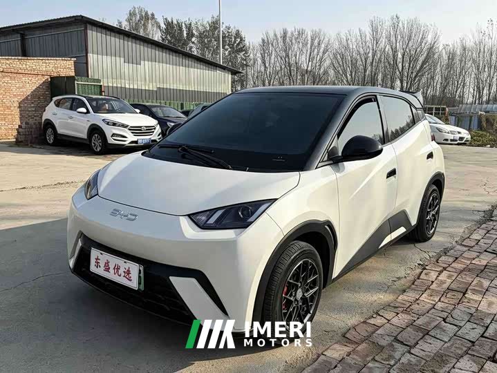 BYD Seagull 305km Vitality Edition
