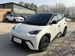 BYD Seagull 305km Vitality Edition - ფოტო 1