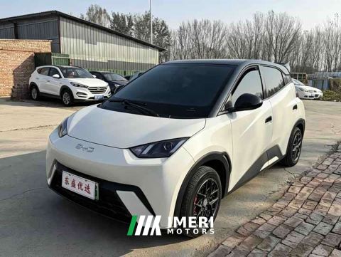 2025 BYD Seagull 305km Vitality Edition