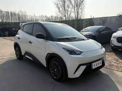 BYD Seagull 305km Vitality Edition - ფოტო 3