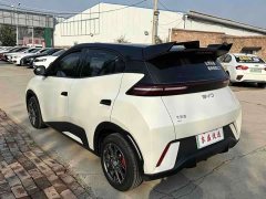 BYD Seagull 305km Vitality Edition - ფოტო 4