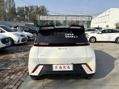 BYD Seagull 305km Vitality Edition - ფოტო 5