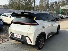 BYD Seagull 305km Vitality Edition - ფოტო 6