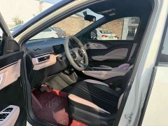 BYD Seagull 305km Vitality Edition - ფოტო 7
