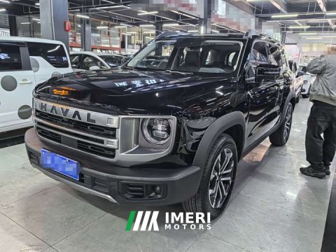 2025 Great Wall Dachshund 1.5T DCT Border Collie Edition - автомобиль из Китая