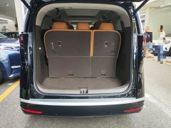 Denza D9 DM-i 970 AWD Premium Edition - photo 5