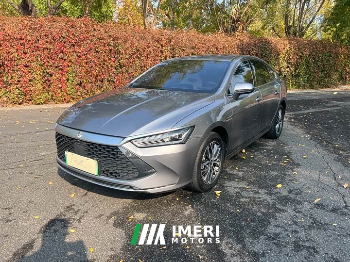BYD Qin Plus DM-i 120KM Flagship
