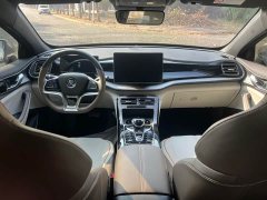 BYD Qin Plus DM-i 120KM Flagship - ფოტო 11