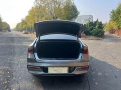 BYD Qin Plus DM-i 120KM Flagship - ფოტო 18