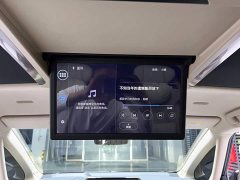 Toyota Alphard Hybrid 2.5L Premium Edition - фото 16