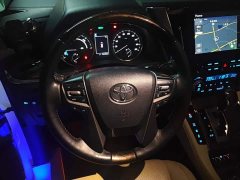 Toyota Alphard Hybrid 2.5L Premium Gold Edition - ფოტო 14