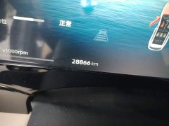 Geely Xingyue L Oriental Radiance 2.0T Auto Panorama Edition - ფოტო 13