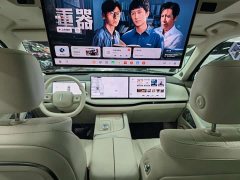 Great Wall WEY Blue Mountain Intelligent Advanced Edition Four-Wheel Drive Max - photo 12