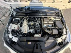 Toyota Corolla 1.2T S-CVT Pioneer Plus - ფოტო 13