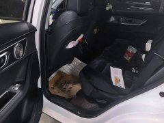 Chery Tiggo 8 PRO 290T Two-Wheel Drive Comfort Edition - ფოტო 11