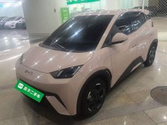 BYD Seagull Glory Edition 305km Freedom Version - ფოტო 1