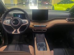 BYD Seagull Glory Edition 305km Freedom Version - ფოტო 12
