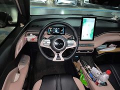 BYD Seagull Glory Edition 305km Freedom Version - ფოტო 13