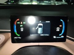 BYD Seagull Glory Edition 305km Freedom Version - ფოტო 14