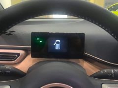 BYD Seagull Glory Edition 305km Freedom Version - ფოტო 15