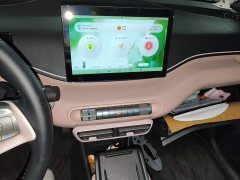 BYD Seagull Glory Edition 305km Freedom Version - ფოტო 16