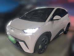 BYD Seagull Glory Edition 305km Freedom Version - ფოტო 2