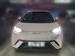 BYD Seagull Glory Edition 305km Freedom Version - ფოტო 3