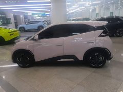 BYD Seagull Glory Edition 305km Freedom Version - ფოტო 5