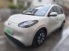 Wuling Binguo 333km Joy Edition - ფოტო 1